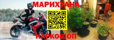 ГАЛЛЮЦИНОГЕННЫЕ ГРИБЫ Заволжье
