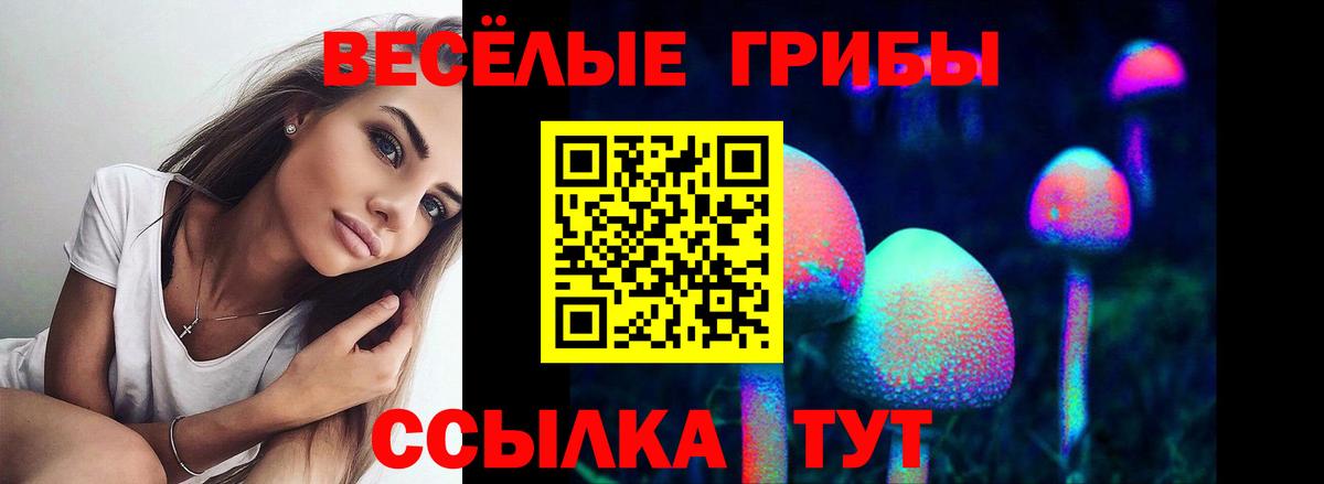 Псилоцибиновые грибы Psilocybe  Вход с VPN  цена наркотик  Уварово 
